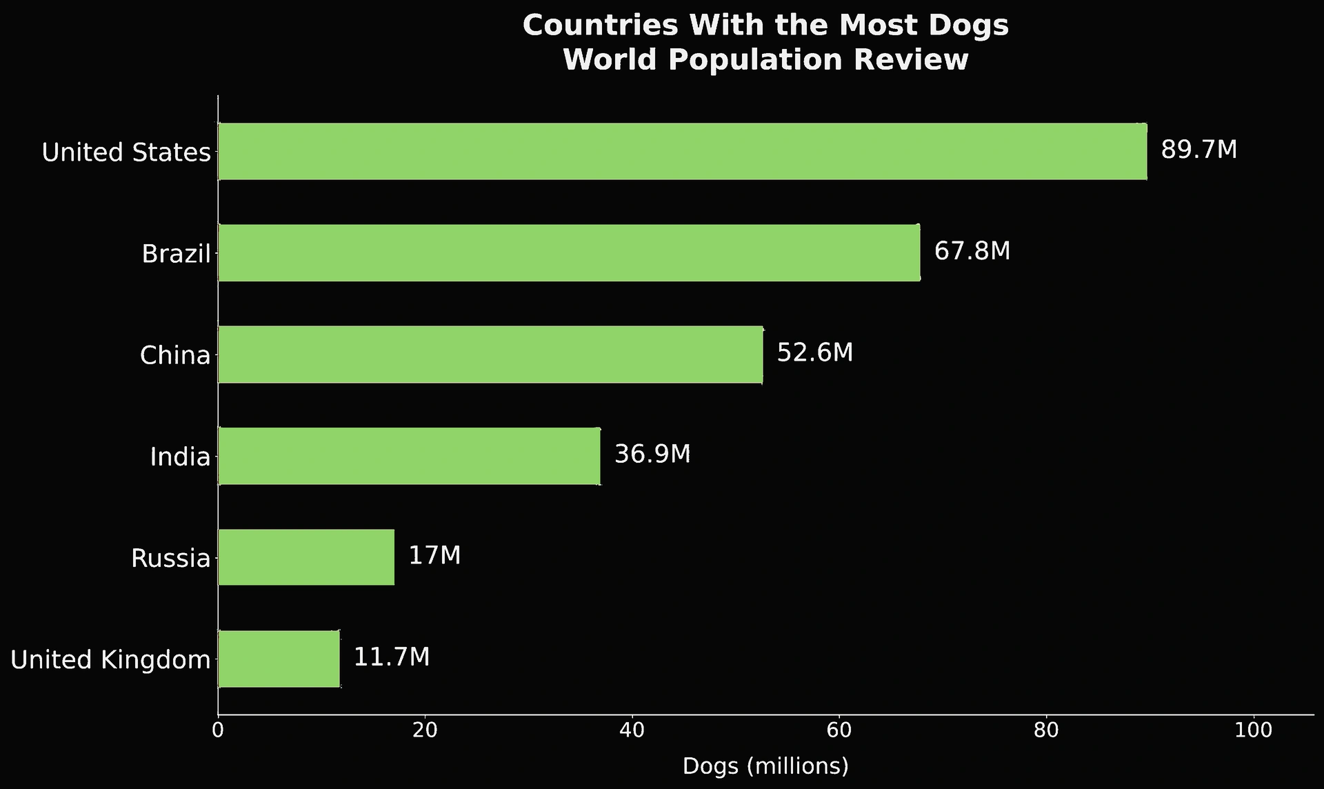Brazil's high dog-to-person ratio