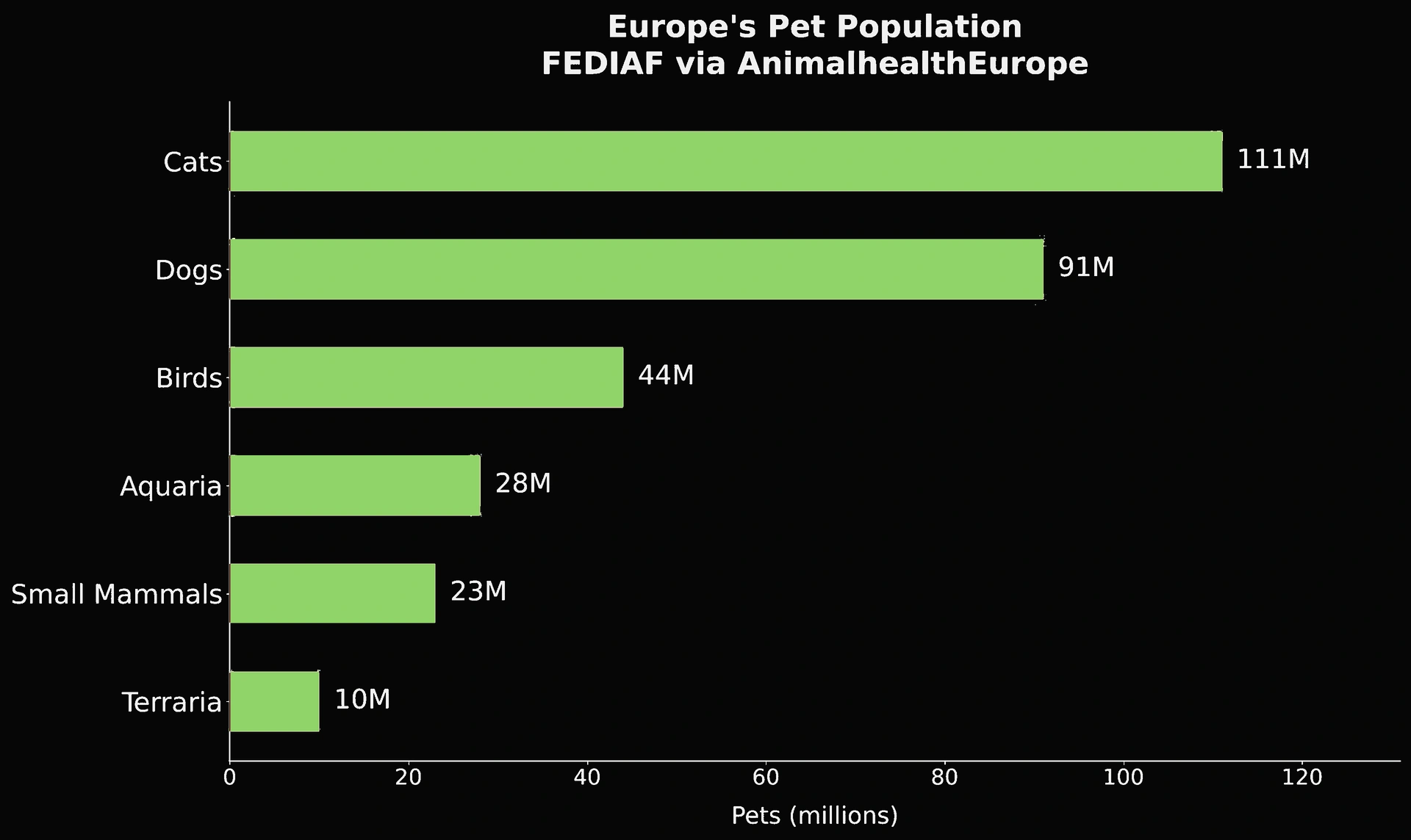 Europe's cat-dog population gap